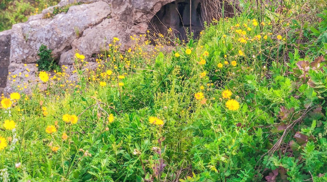 Awestruck by the magnificent view at Seven Sleepers Cave, Ephesus, Turkey. Glad to learn about the historical place and witness the cave with own eyes. #LifeAtExpediaGroup