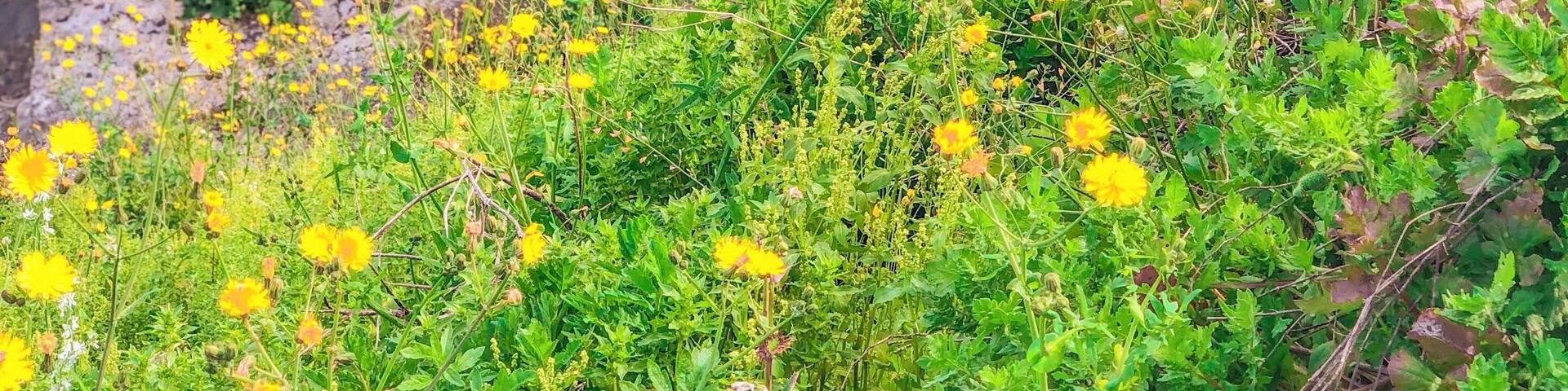 Awestruck by the magnificent view at Seven Sleepers Cave, Ephesus, Turkey. Glad to learn about the historical place and witness the cave with own eyes. #LifeAtExpediaGroup