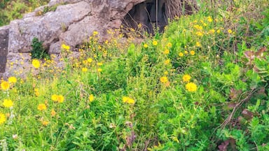 Awestruck by the magnificent view at Seven Sleepers Cave, Ephesus, Turkey. Glad to learn about the historical place and witness the cave with own eyes. #LifeAtExpediaGroup