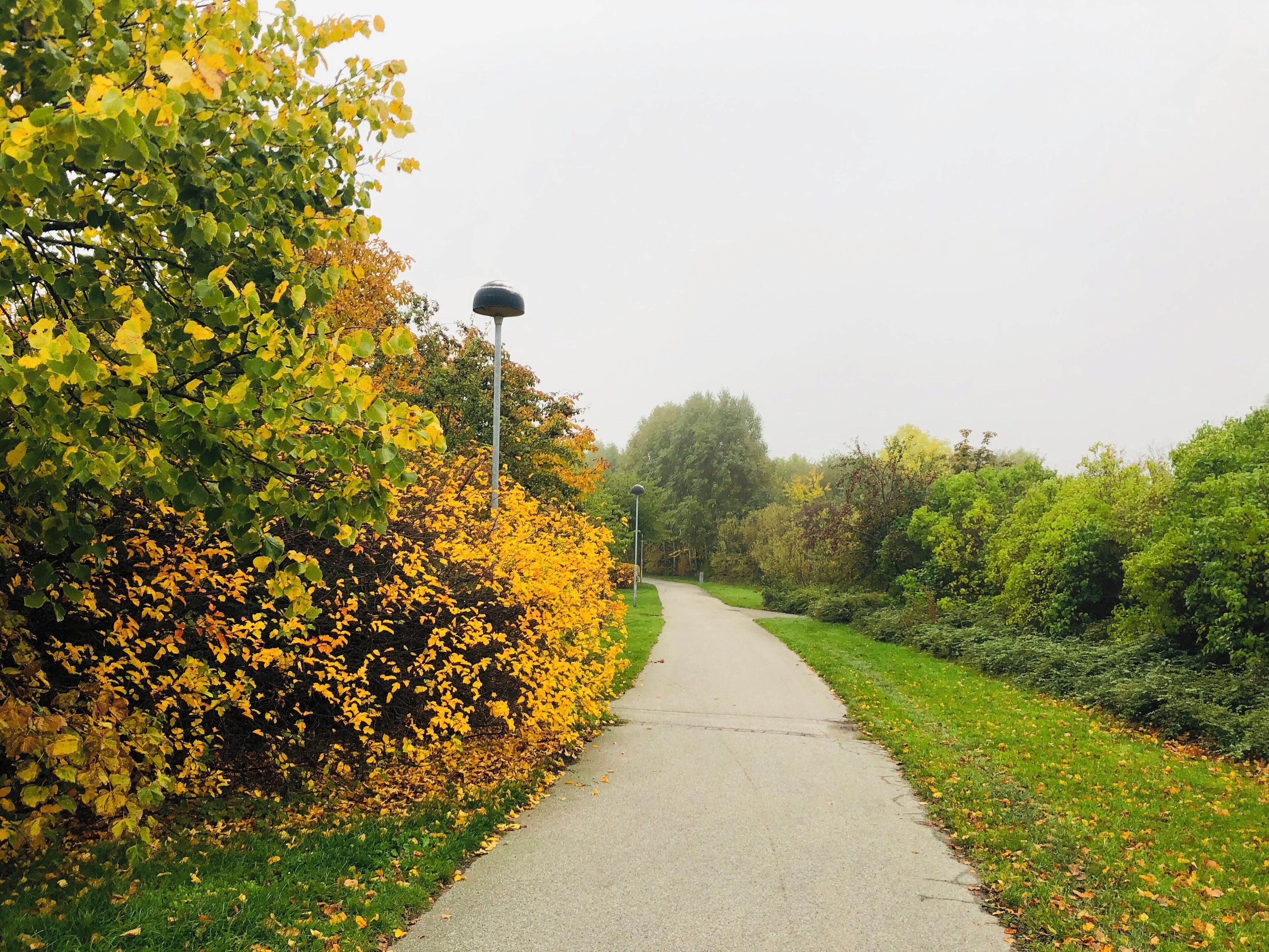 Stunning fall colours 🍂