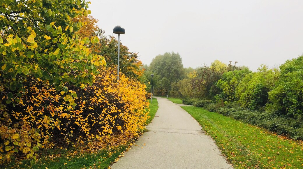 Stunning fall colours 🍂