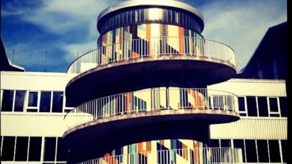 Found it while taking a walk