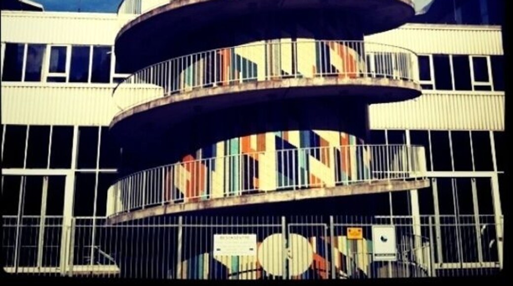 Found it while taking a walk