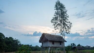 A wooden house on stilts with a thatched roof, surrounded by greenery and a clear sky.