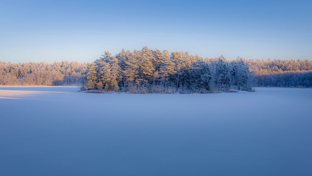 A frozen lake with a forested island in the center.