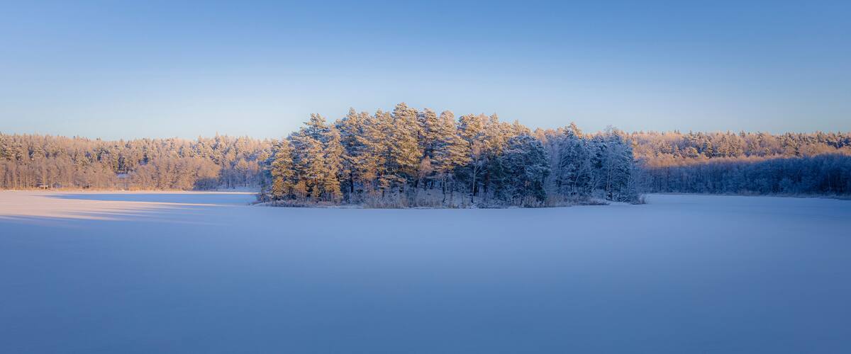A frozen lake with a forested island in the center.