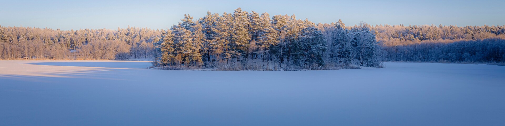 A frozen lake with a forested island in the center.