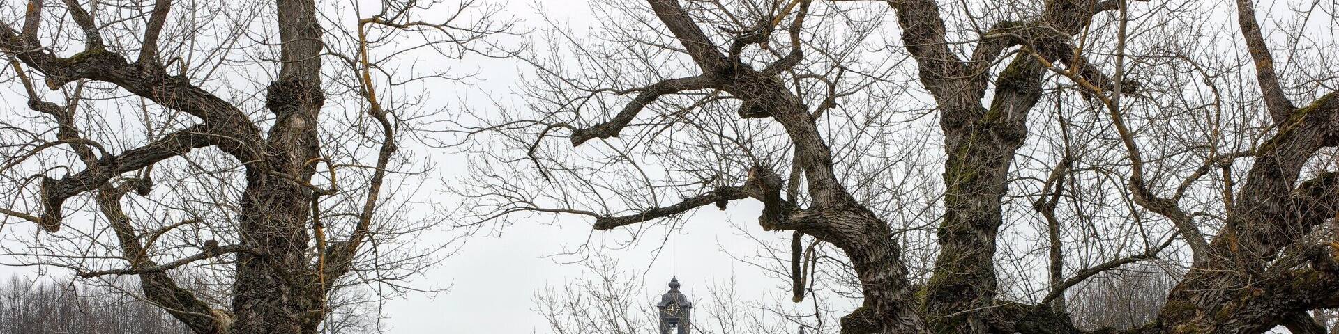 Ulriksdal Palace (Swedish: Ulriksdals slott) is a royal palace situated on the banks of the Edsviken in the Royal National City Park in Solna Municipality, 6 km north of Stockholm. It was originally called Jakobsdal for its owner Jacob De la Gardie, who had it built by architect Hans Jacob Kristler in 1643-1645 as a country retreat. He later passed on to his son, Magnus Gabriel De la Gardie, from whom it was purchased in 1669 by Queen Hedvig Eleonora of Sweden. The present design is mainly the work of architect Nicodemus Tessin the Elder and dates from the late 17th century.
- Wikipedia