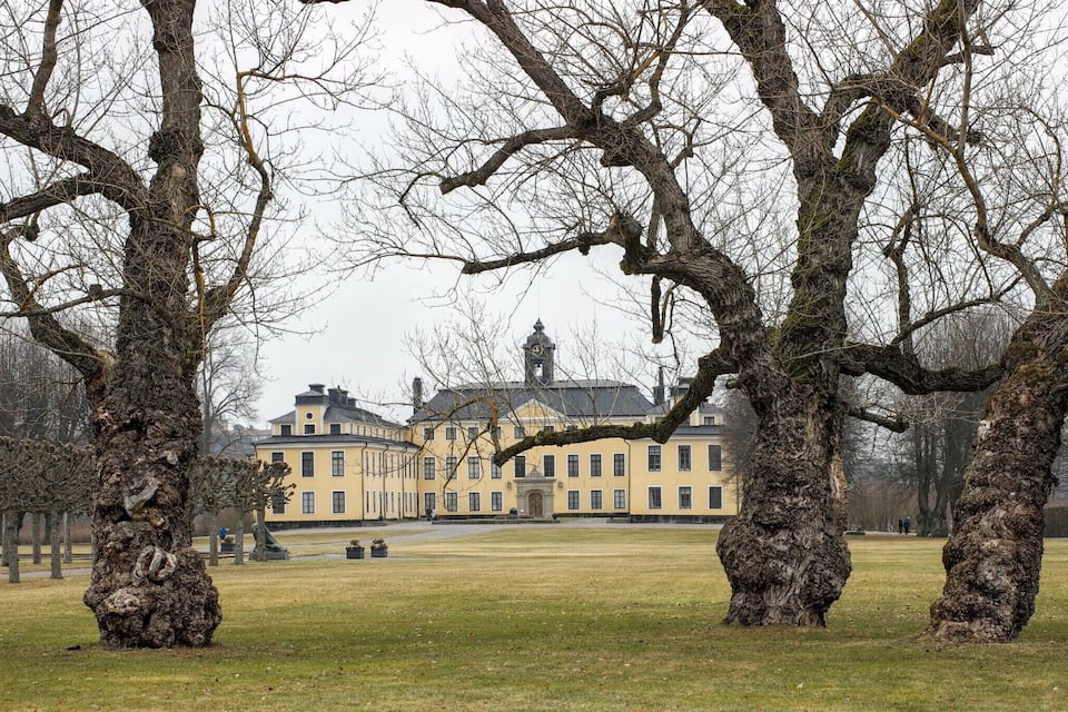 A large, historic building with a clock tower, surrounded by a park with leafless trees.