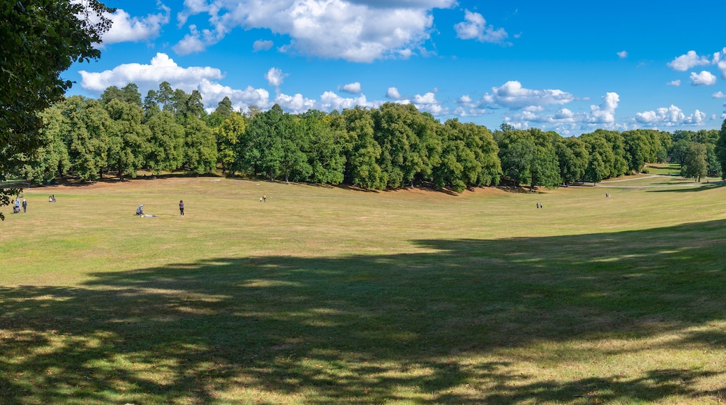 Hagaparken Park in Solna Northern Stockholm With open meadow