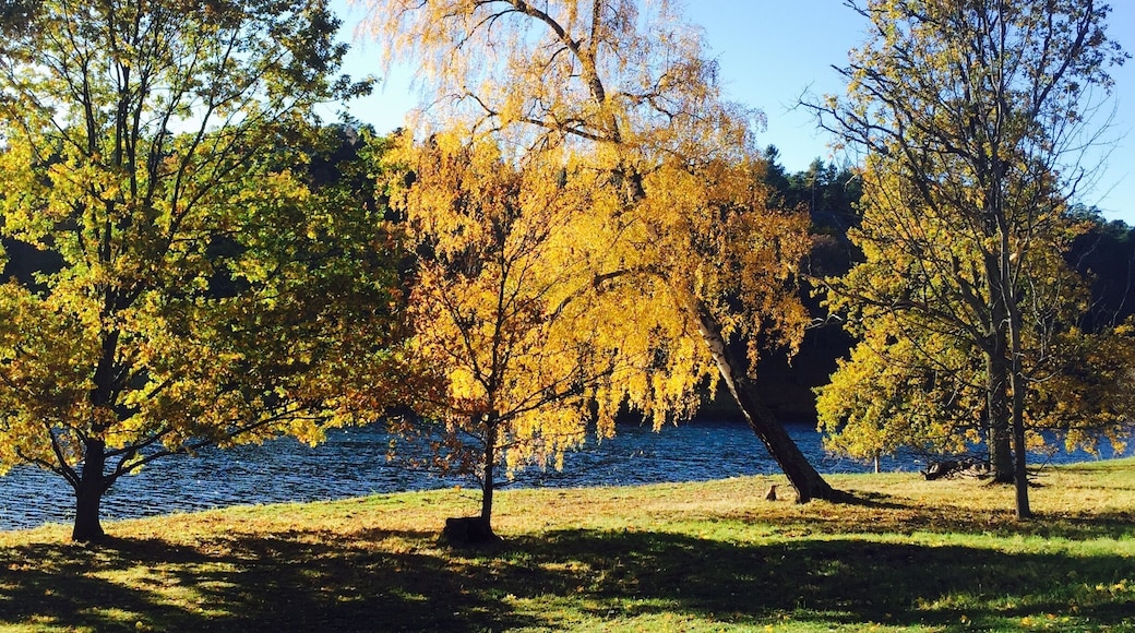 Magic moment to stop and embrace when going for an afternoon stroll in Hagaparken, the Royal park in Stockholm.
#LifeAtExpediaGroup