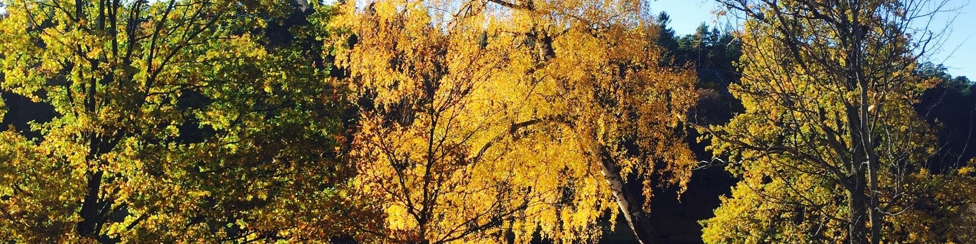 Magic moment to stop and embrace when going for an afternoon stroll in Hagaparken, the Royal park in Stockholm.
#LifeAtExpediaGroup
