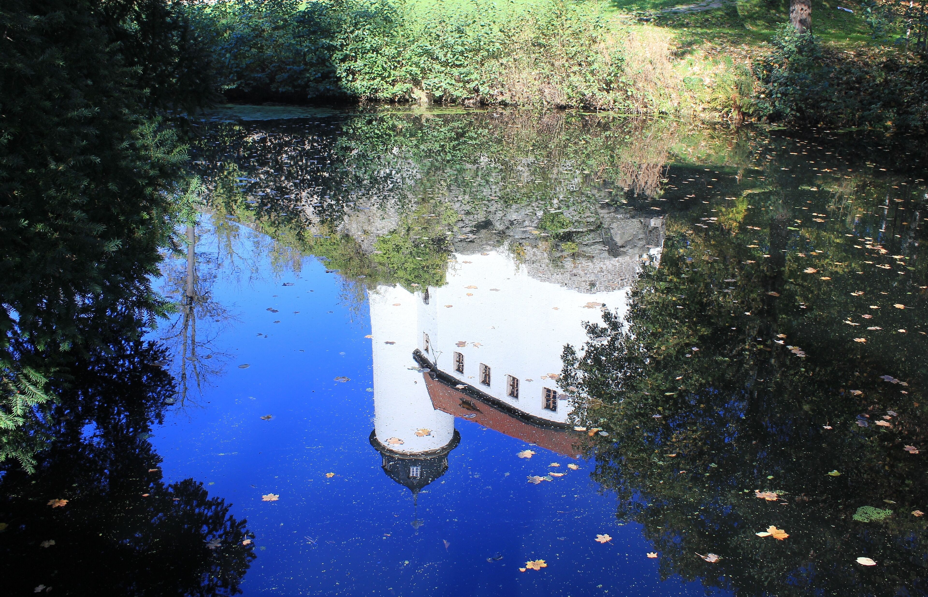A calm river reflecting a white building with a tower, surrounded by dense foliage and trees.