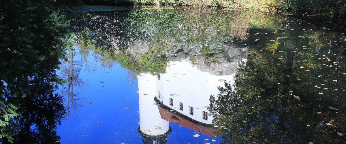 A calm river reflecting a white building with a tower, surrounded by dense foliage and trees.