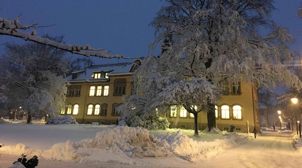 Wintertime in Chemnitz in the Morning