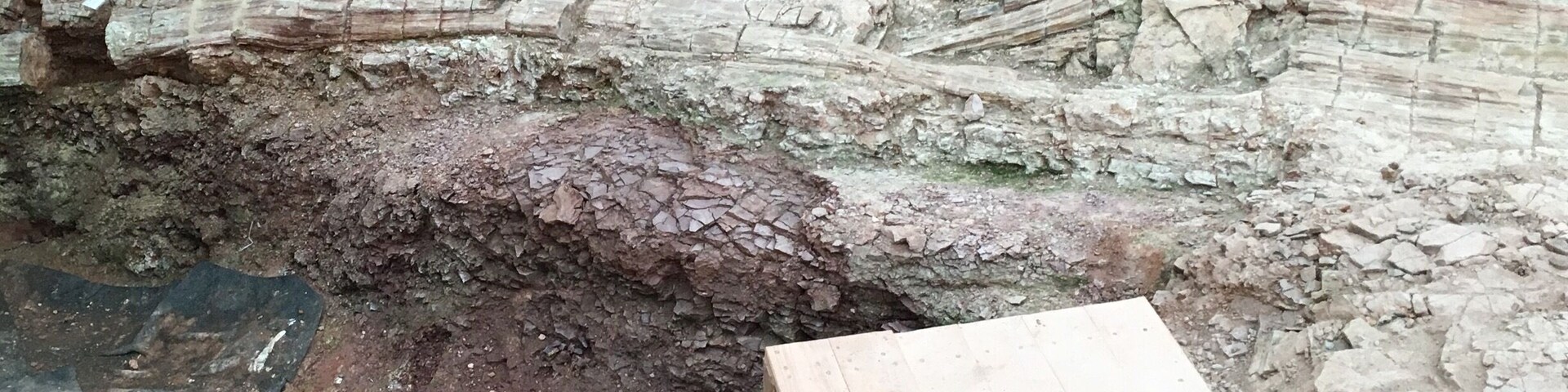 Chemnitz - window of geological history