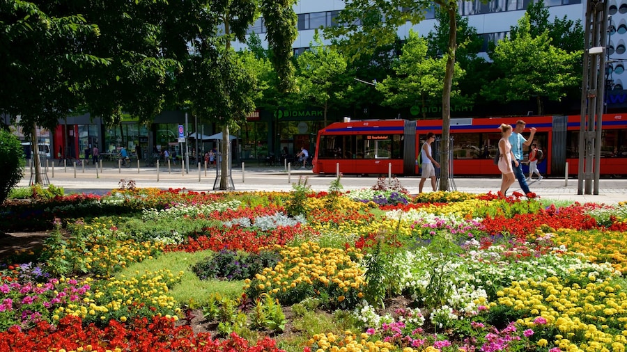 Osterzgebirge (region)