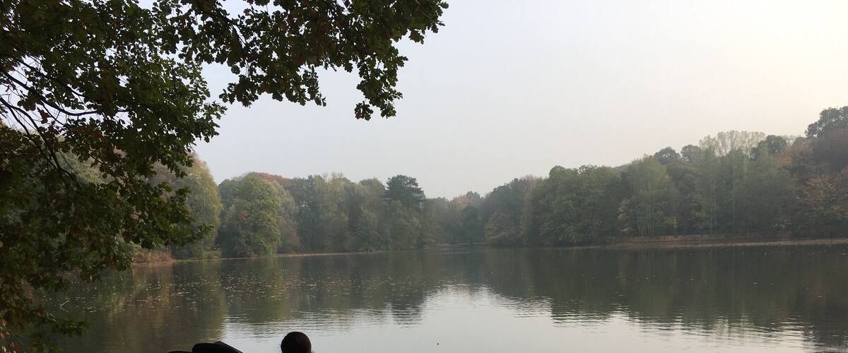 Chemnitz - the small lake in autumn City-Park
