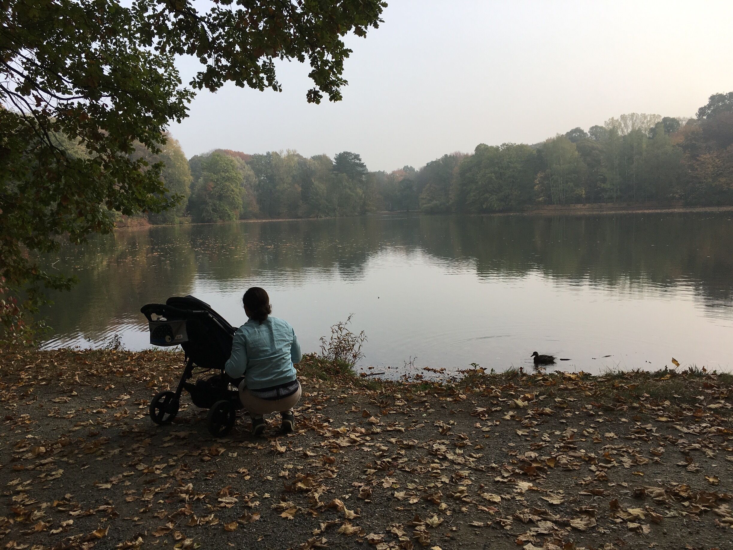 A person sitting on a bench by a lake with a stroller, surrounded by trees and fallen leaves.