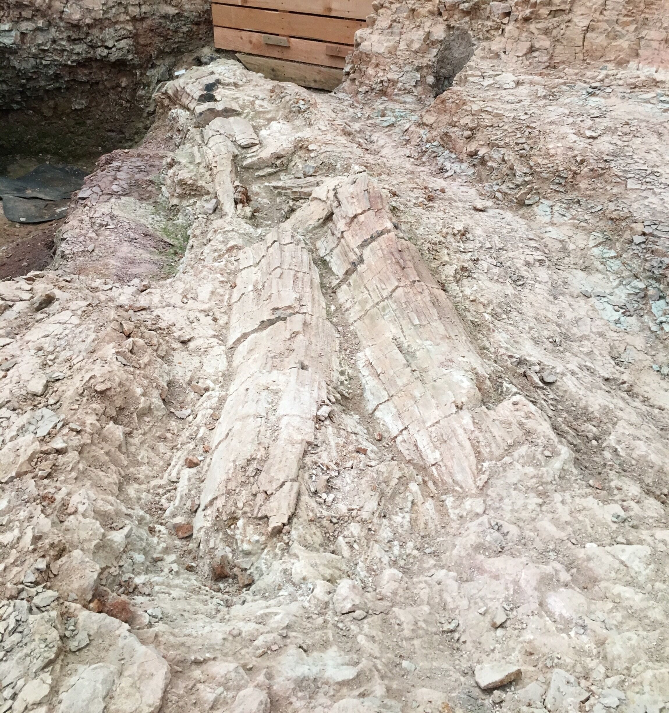 Chemnitz - Window of geological history