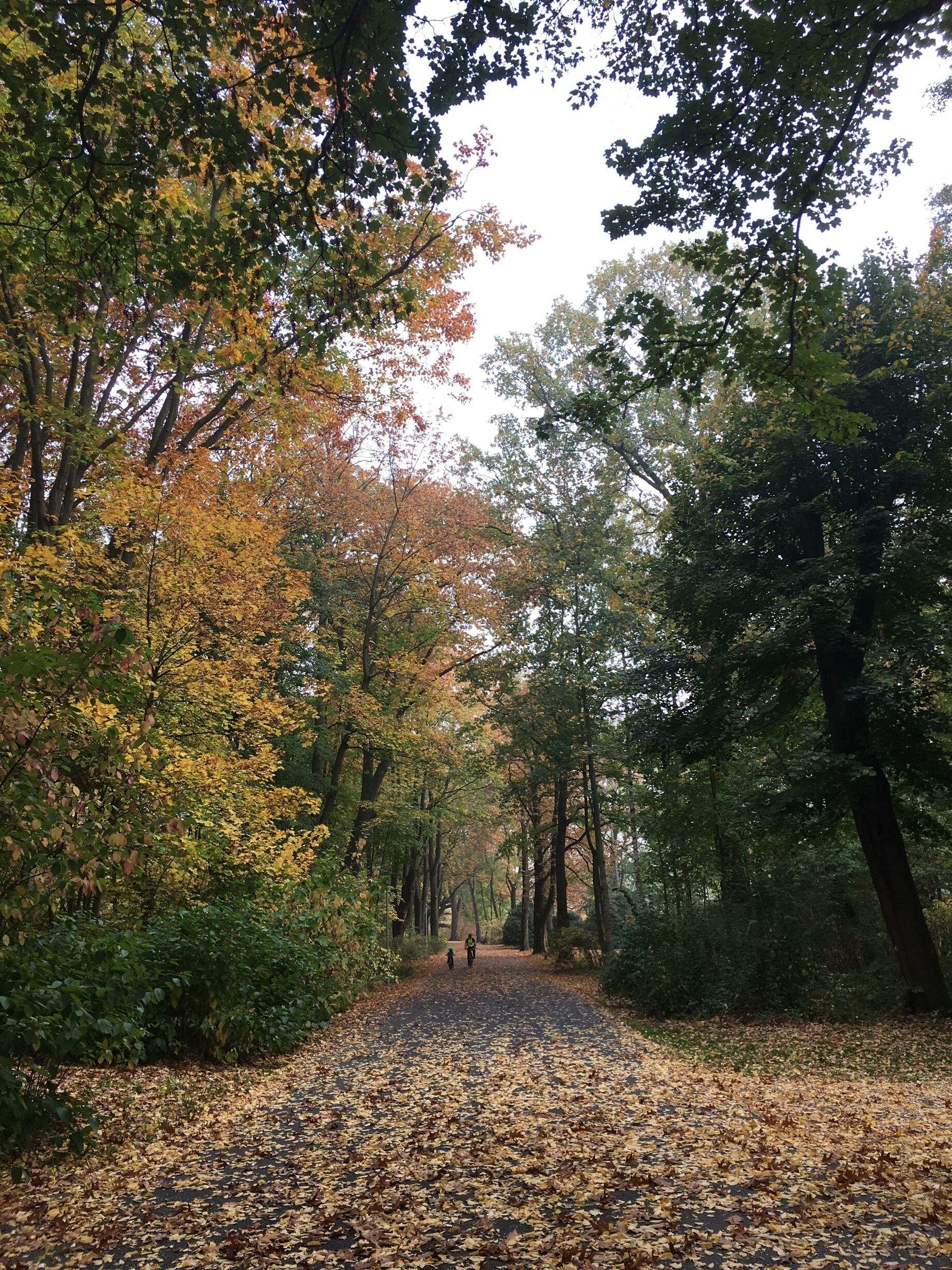 Chemnitz - the City-Park in autumn