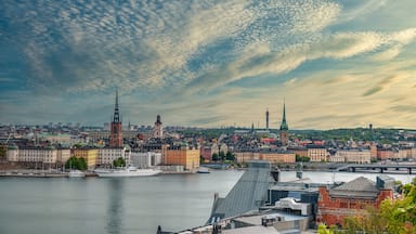 En stadsbild med en flod, historiska byggnader och tvÄ framtrÀdande torn.