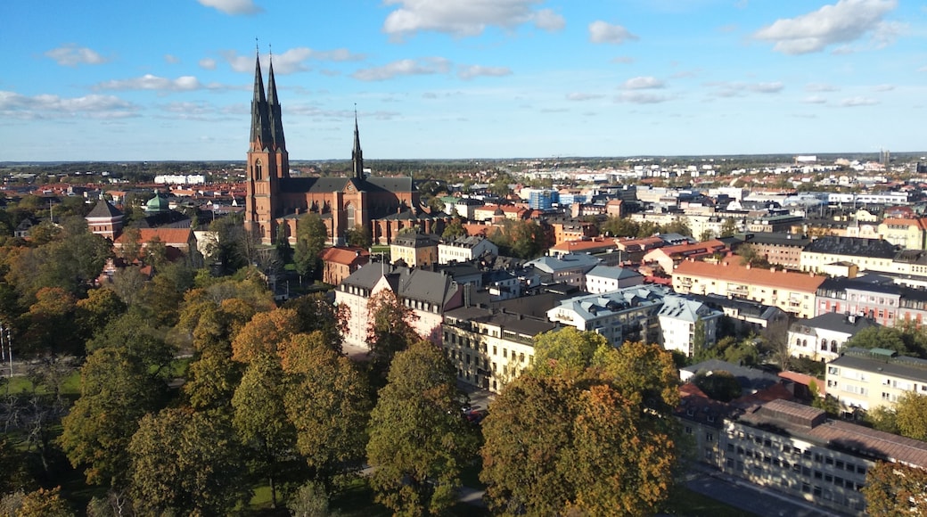 You can enjoy a tour of the castle and climb on the rooftop of it to see this amazing view! Equipment is provided and you feel safe and adventurous! I definitely recommend for adrenaline lovers and excited travelers!