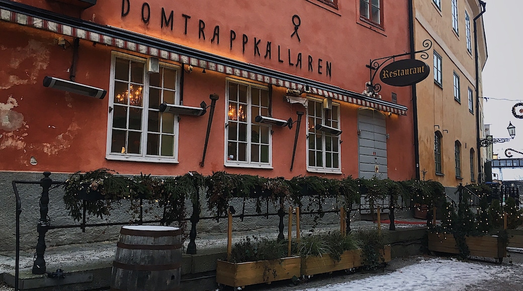 This was taken on a snowy winter day in Sweden