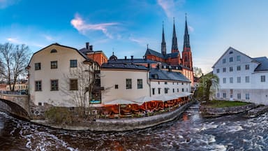 A river with a bridge, a church with spires, and a white building with a sloped roof.
