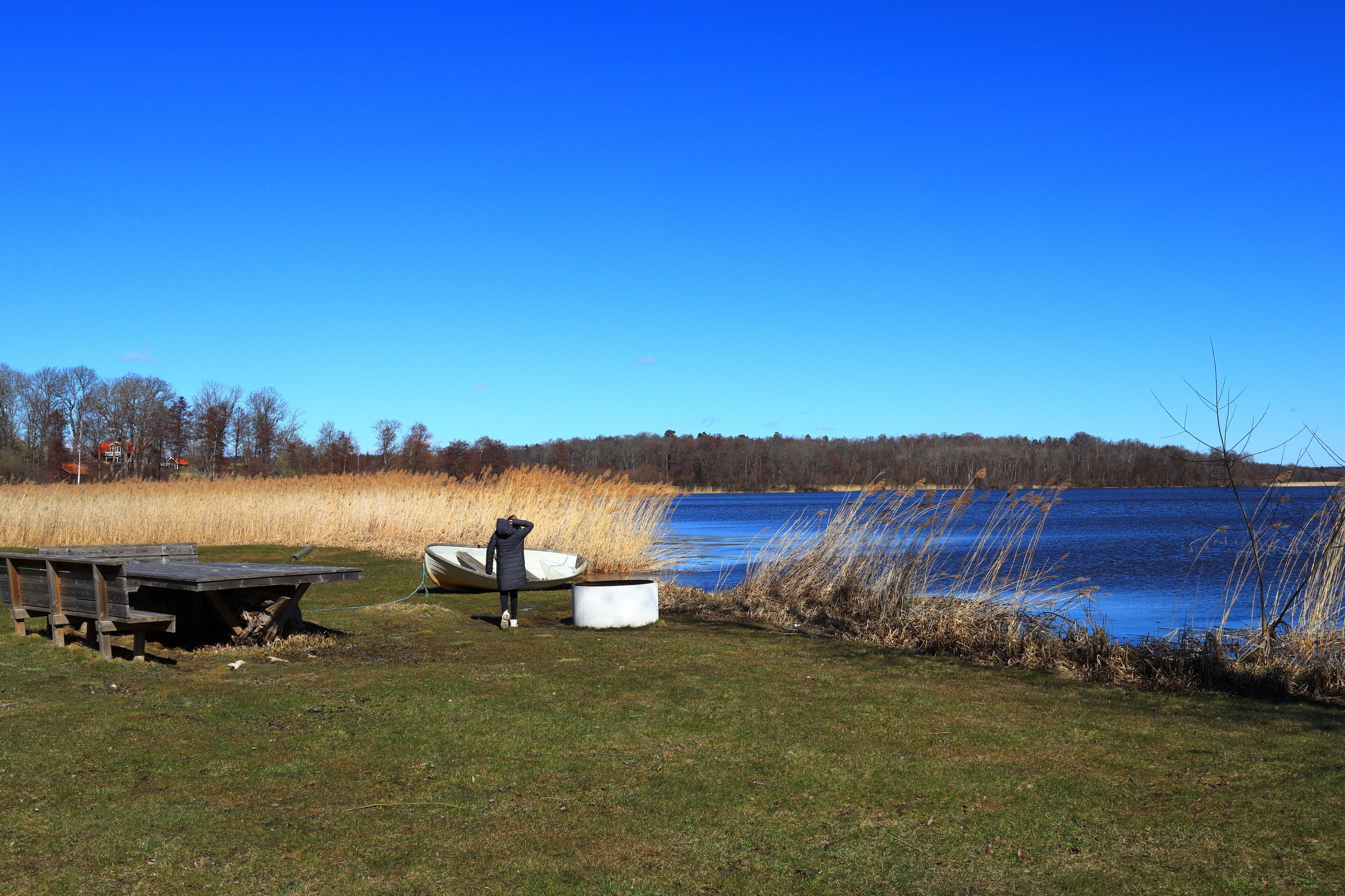 Nice view over a Swedish landscape. Archipelago. Lawn with green grass. Water and lake. Person walking in the distance. Spring day outside. Skokloster, Håbo, Uppsala, Sweden, Europe.
