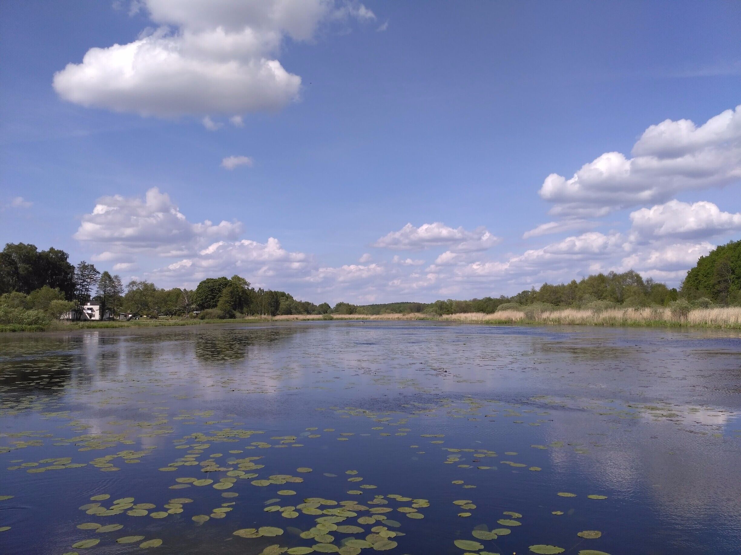 A small lake on the way to Ekoln 