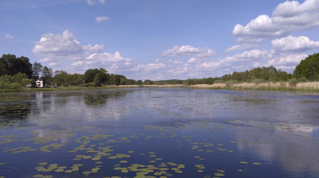 A small lake on the way to Ekoln