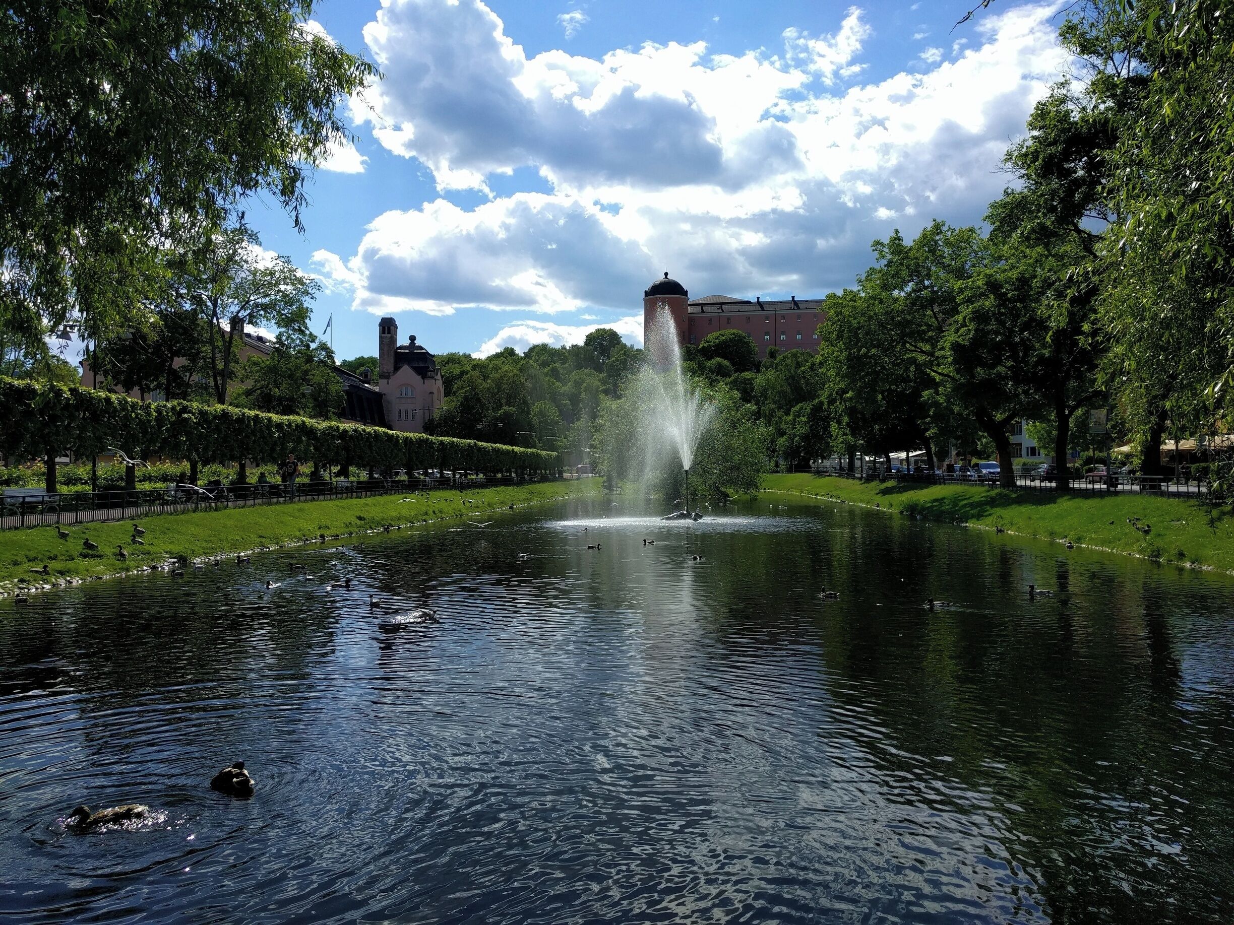 Sunny Uppsala is just awesome. You can feed the ducks when you pass by Svandammen.