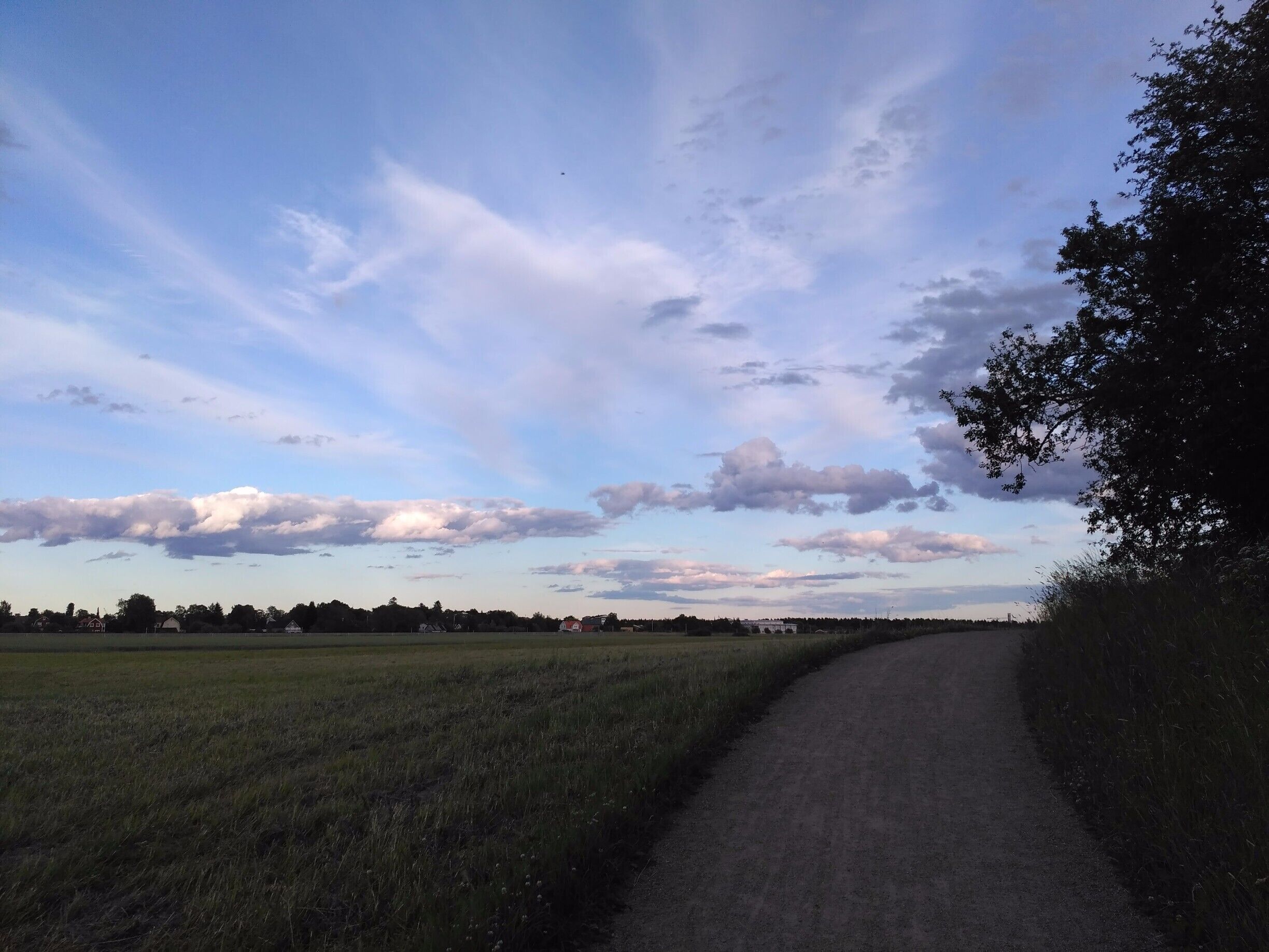 A good way to get to Gamla Uppsala!