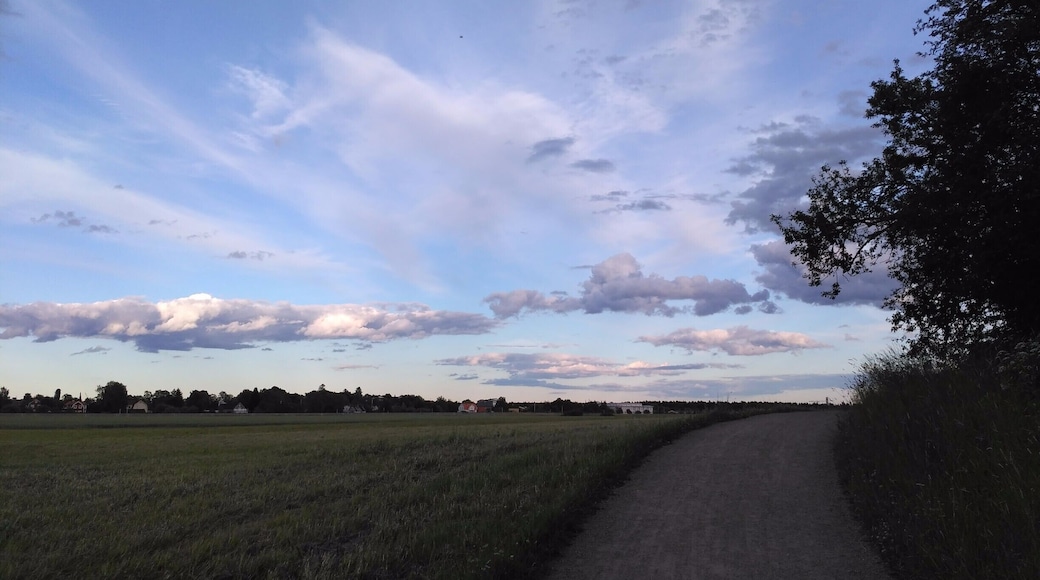 A good way to get to Gamla Uppsala!