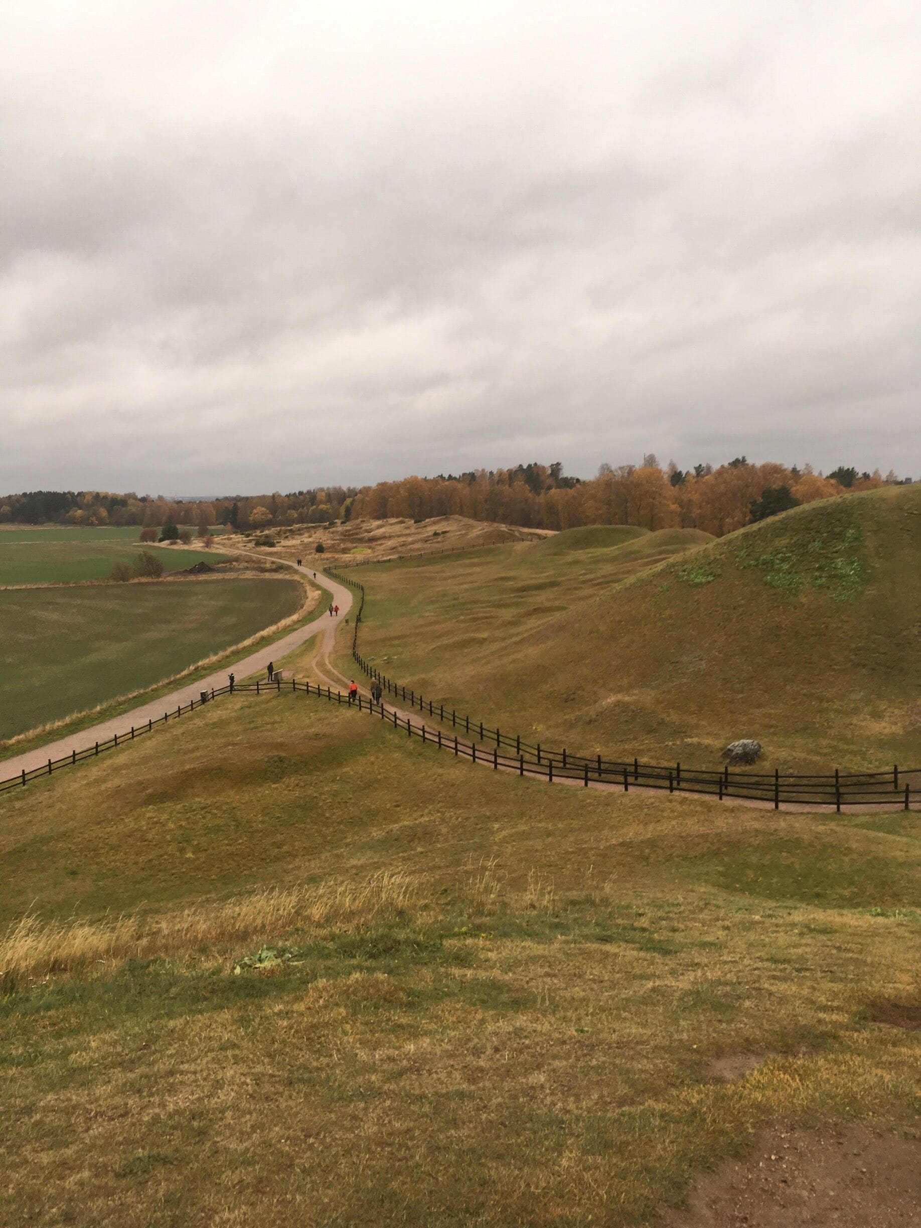 A view of the “royal mounds” in Gamla Uppsala! There were musicians playing old instruments on top of one of the mounds and it was the most beautiful experience I had in Sweden. 