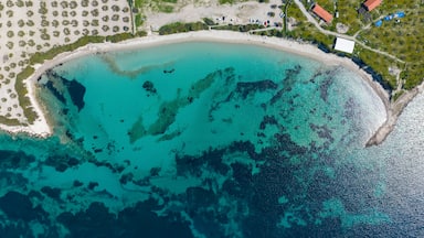 Vue aérienne d’une zone côtière avec une plage de sable, des eaux turquoise et limpides, et une végétation clairsemée.