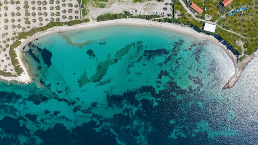 North Aegean shorelines Pissa Bay aerial photography. Pissa koyu - Dikili - Izmir - Turkey.