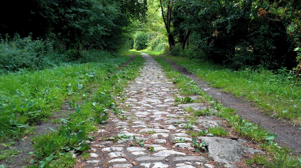 Milton Lane, Steventon, Oxfordshire (formerly Berkshire): a continuation of Steventon Causeway