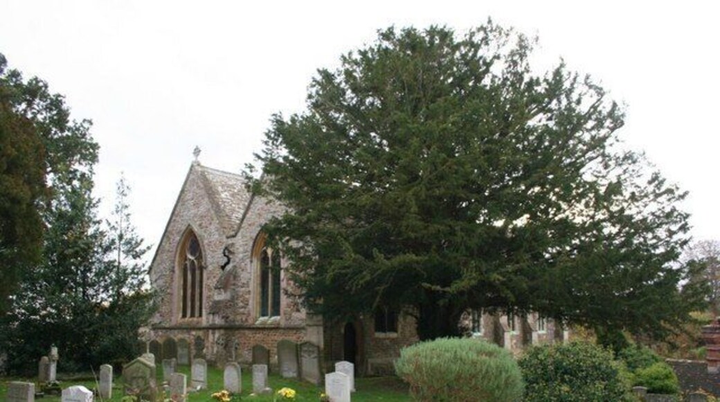 Across the graveyard View across the graveyard towards St Michaels church