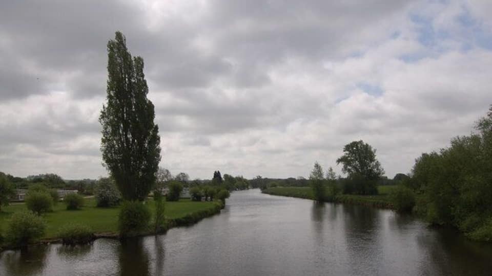 A river with a tall tree on the left, surrounded by greenery.