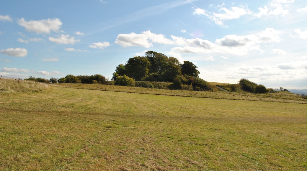 Castle Hill Wittenham