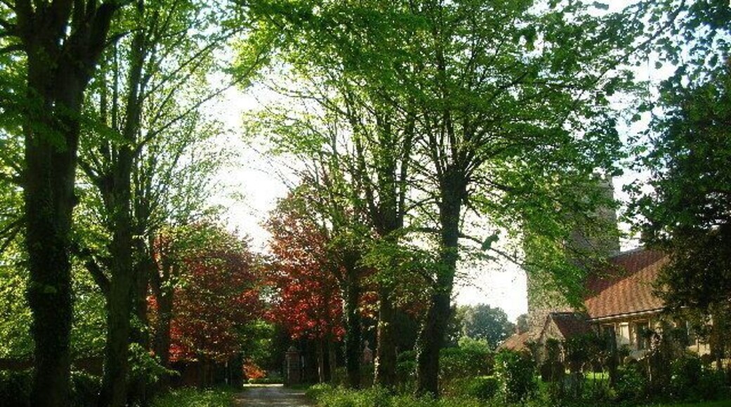 Church of England parish church of St Blaise, Milton, Vale of White Horse, Oxfordshire (formerly Berkshire), England; with the driveway to the Manor House.