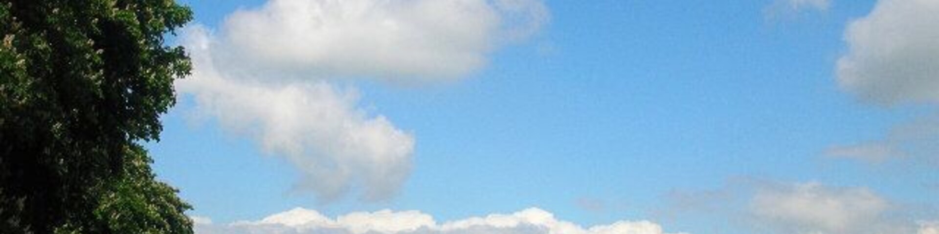 A grassy field with a clear blue sky and scattered clouds.