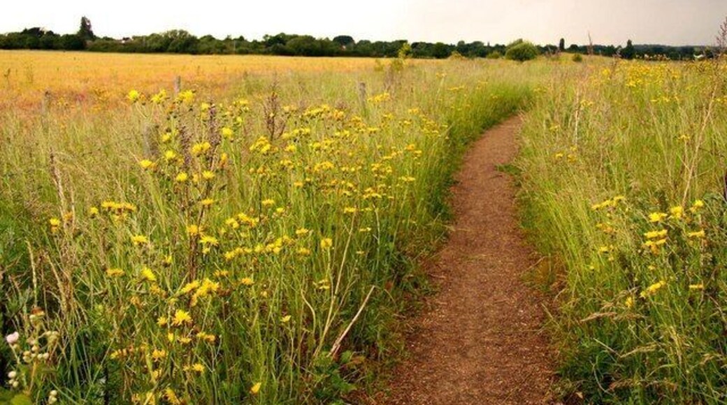 Footpath between Sutton Courtenay and Didcot Power Station, Oxfordshire (formerly Berkshire).