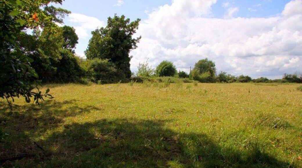 Field near Sutton Courtenay