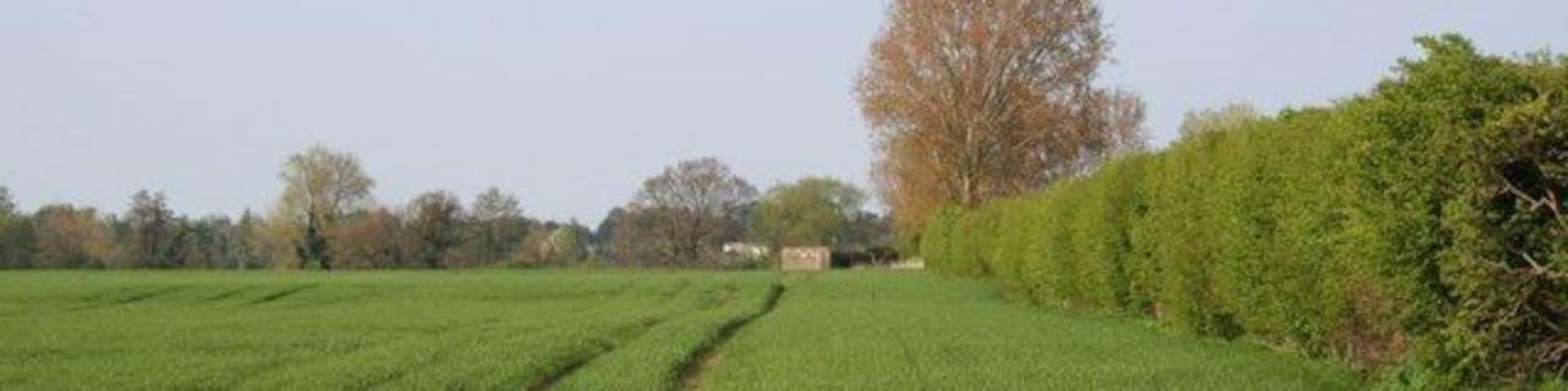Pillbox by the hedge Noticed it a few weeks ago one of the pillboxes I missed form the stop line. It is nigh on opposite Millets farm