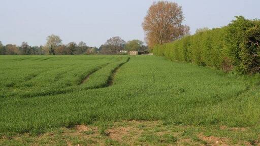 Pillbox by the hedge Noticed it a few weeks ago one of the pillboxes I missed form the stop line. It is nigh on opposite Millets farm