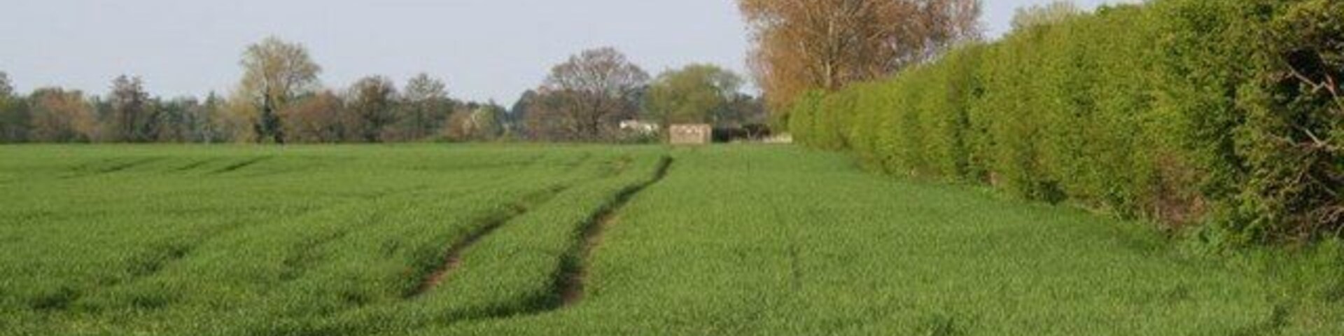 Pillbox by the hedge Noticed it a few weeks ago one of the pillboxes I missed form the stop line. It is nigh on opposite Millets farm