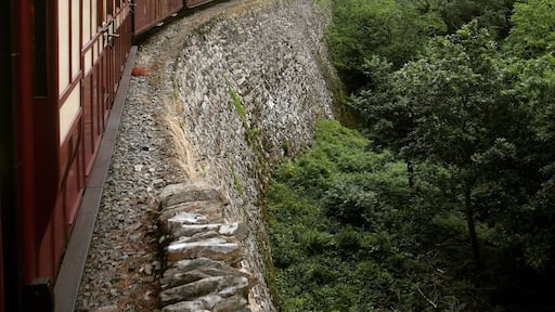 Discovered this great vintage train line in Ffestiniog, Wales. #train #vintage #railway #wales #ffestiniog